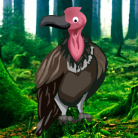 Games2rule Vulture Forest Escape Walkthrough
